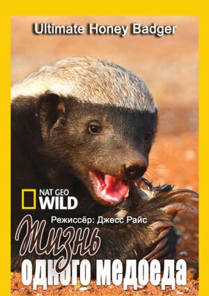 Nat Geo Wild: Життя одного медоїда