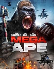 МЕГАМАВПА (2023)