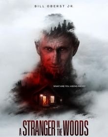 Незнайомець у лісі (2024)