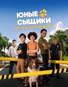 Юні детективи. Справа про зниклих щенят (2025)